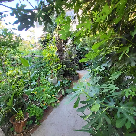 Botanika Auberge de jeunesse