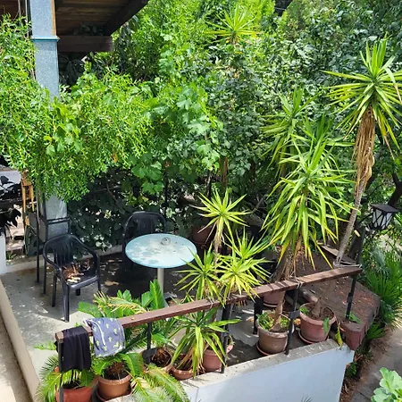 Auberge de jeunesse Botanika