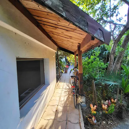 Botanika Auberge de jeunesse