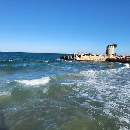 Botanika *