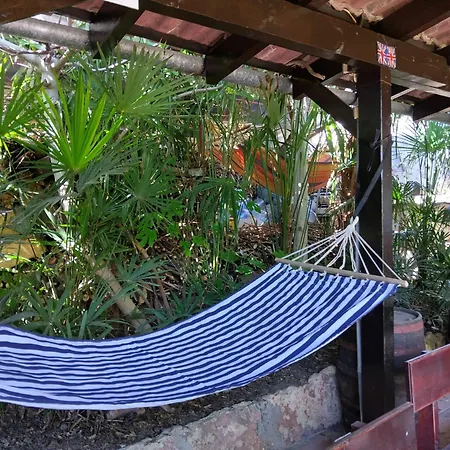 Botanika Auberge de jeunesse