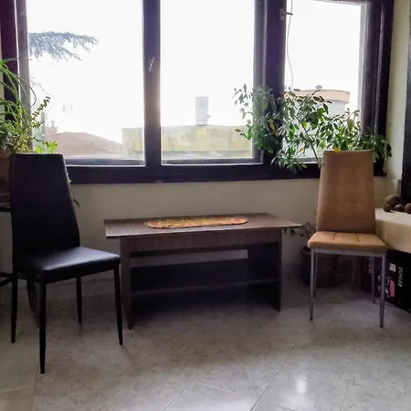 Auberge de jeunesse Botanika *