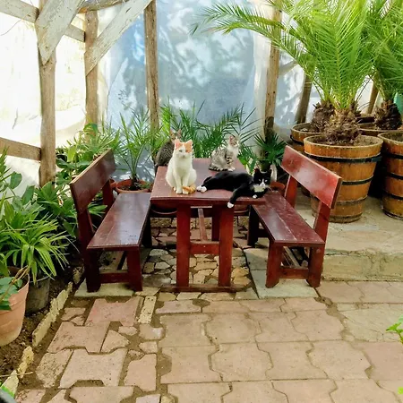 Botanika Auberge de jeunesse *