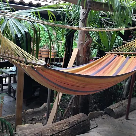 Botanika Auberge de jeunesse