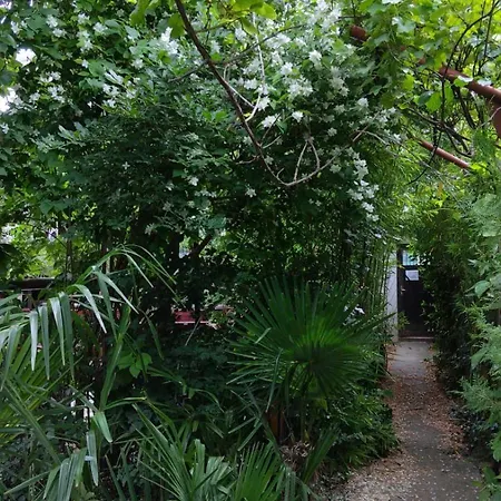 Auberge de jeunesse Botanika *