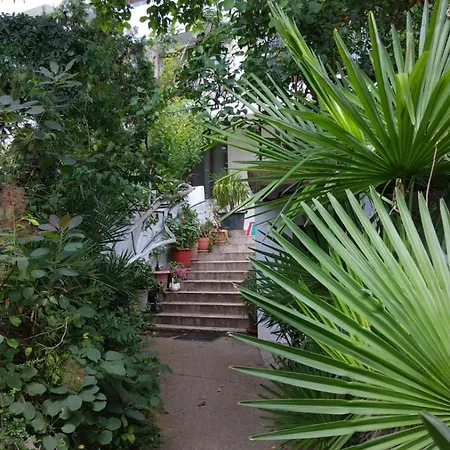 Botanika